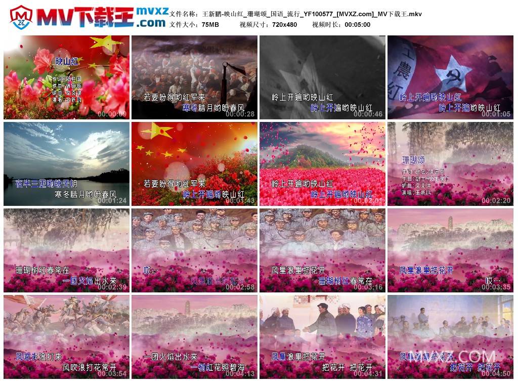 王新鹏-映山红_珊瑚颂_国语_流行_YF100577